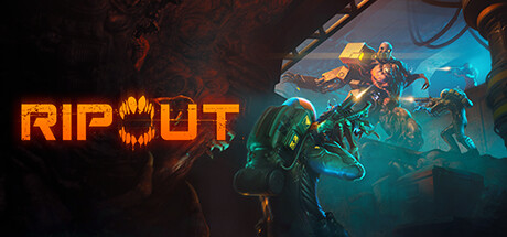 RIPOUT封面