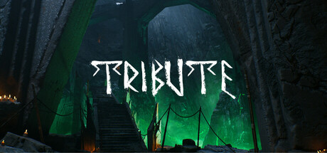 致敬/Tribute封面
